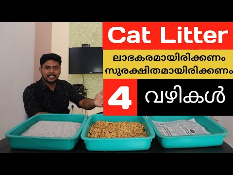പൂച്ചയ്ക്ക് ചിലവ് കുറച്ചൊരു Litter Tray | How To manage Cat Litter Malayalam