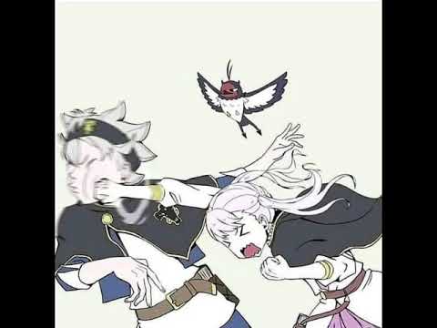 asta x noelle ou asta x nero