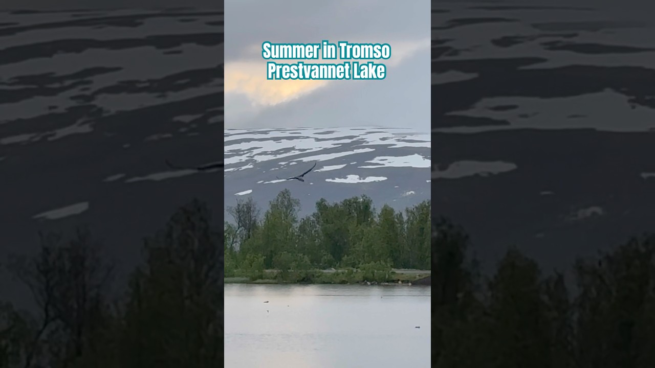 YouTube Short thumbnail