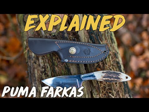 Explained - Puma Farkas