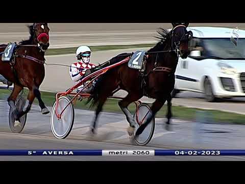 Aversa trotto 4 Febbraio 2023 - 5° Corsa