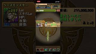 漢の中の漢【パズドラ】