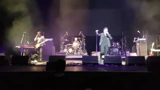 Kids In The Kitchen - Bitter Desire, Current Stand, Change In Mood