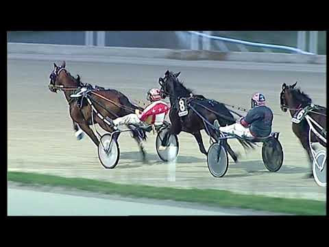 Trotto 05/01/2021 - 7ª corsa