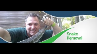 Snake Removal