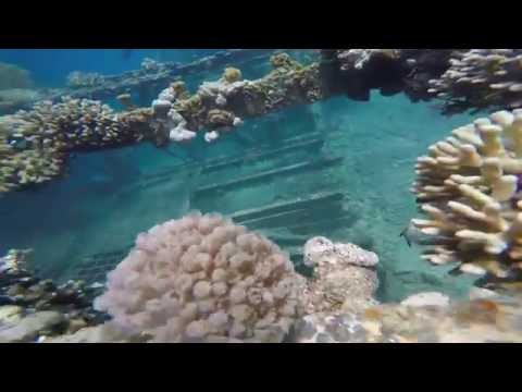 The second day of Two Star Diving course.