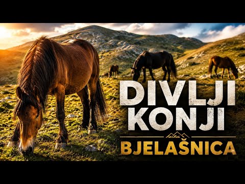 Divlji konji Bjelasnica - Promo Video 