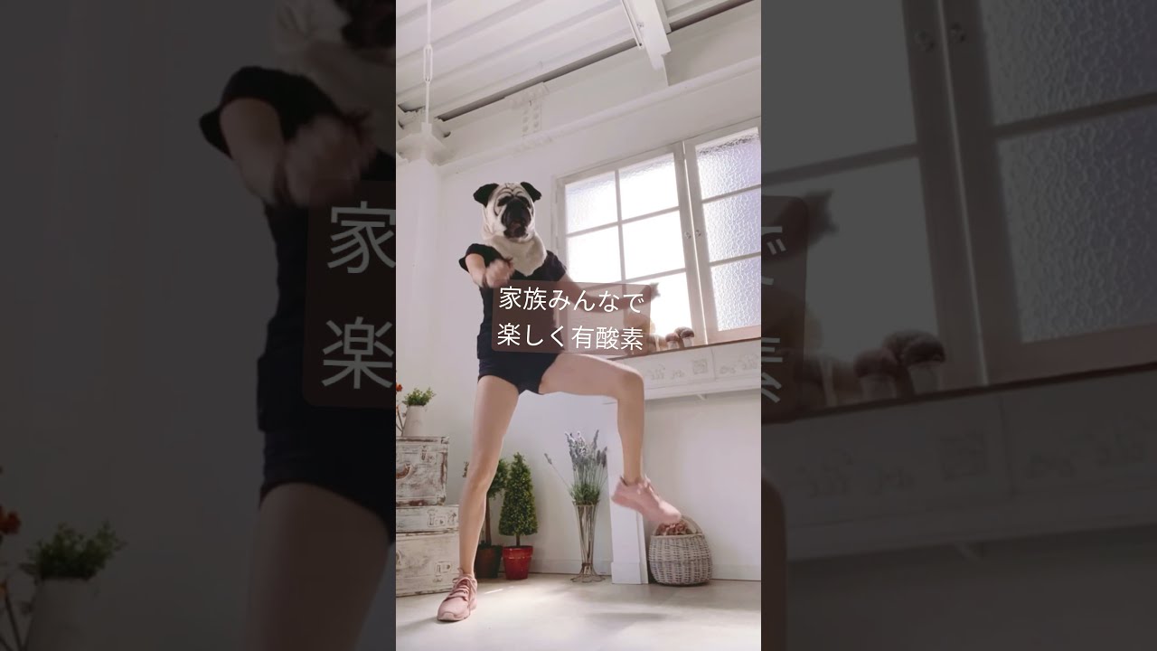 楽しく痩せる！家族みんなで楽しく有酸素しよう