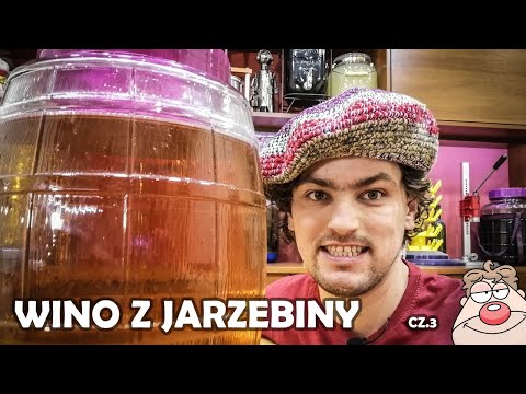 Rowan Wine Part 3 - What's going on with the MAUZERS? - I'm upgrading the studio!