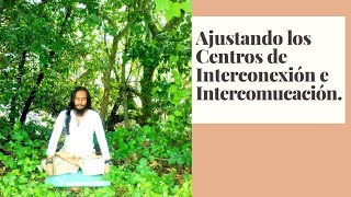 Kriya: Ajustando los Centros de Interconexión e Intercomunicación!!