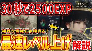 【ビーストオブリンカネーション】最速レベル上げがやばい！30秒で2500EXP、霊秘石厳選やSP＋琥珀稼ぎにも使える【Beast of Reincarnation】