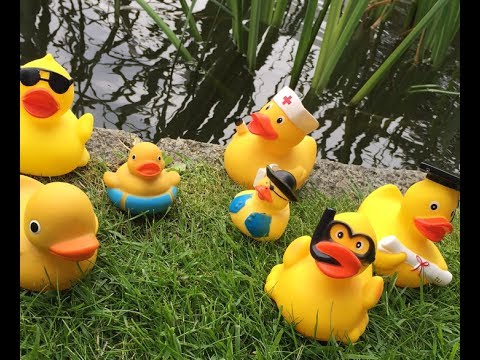 Auf Entenjagd bei der #nr17