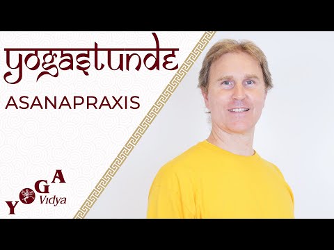 Rückenyoga mit Ananta - Yoga Vidya Ashram Live - 09:15 Uhr 23.01.2022