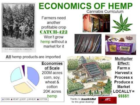 Cannabis Curriculum 2012 UConn SSDP Economics of Hemp, Innovation, Medicinal Hemp/CBD 14-16/32