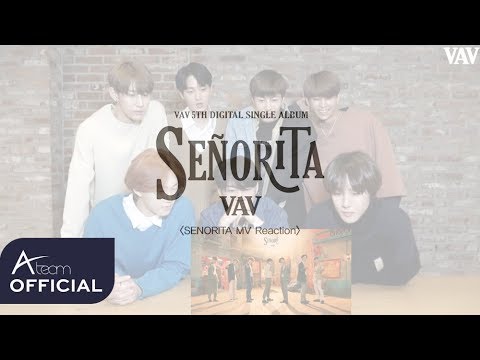 VAV(브이에이브이)_SENORITA MV Reaction