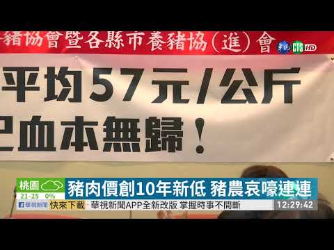 豬價創10年新低 農委會祭紓困方案