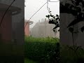 downburst during typical strong summer storm in veneto 29 08 2020