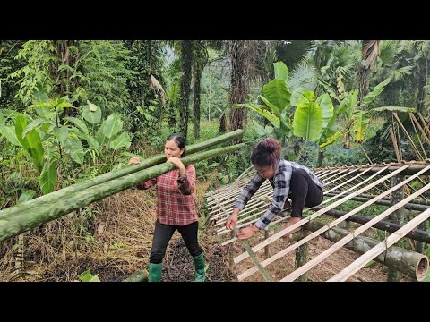 Full video: 120 days to build a bamboo house. Let's see the process from start to finish