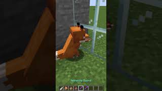 Can Foxes use Swords? Minecraft Fact or Cap