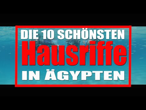 Die 10 schönsten Hausriffe in Ägypten - mit Kommentar