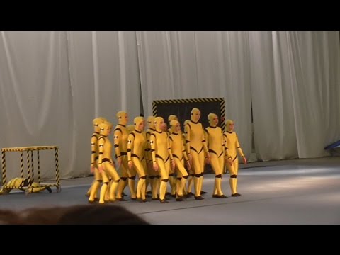 German team's performance in Gymnaestrada 2015 (Helsinki)