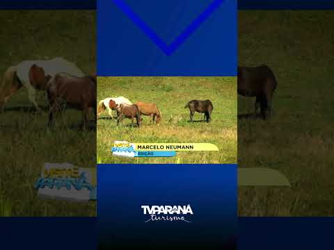 Visite Paraná: Itaperuçu! Confira o programa completo no nosso canal