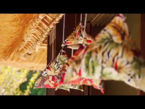 Noriko san aye enna - Dayan Witharana