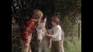 Mine and the Minotaur