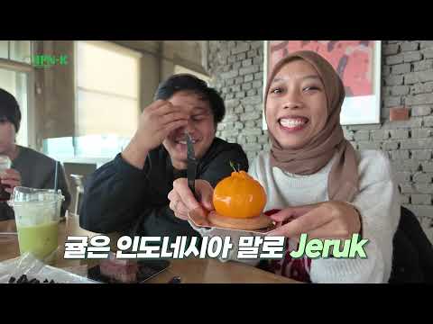 HPN-K 제주 무슬림 관광