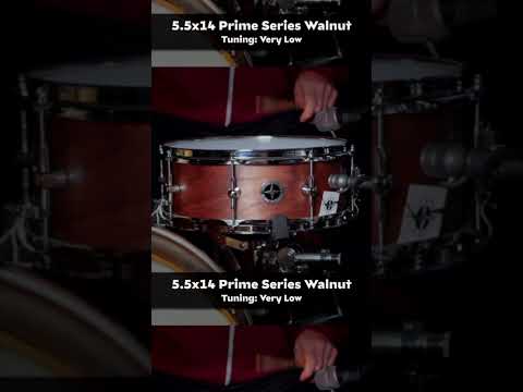 BUCKS COUNTY DRUM COMPANY 5.5X14 8-PLY WALNUT SNARE DRUM #SHORTS