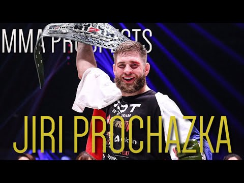 MMA Prospect Study - Jiří Procházka