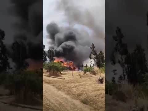 Zapallar: declaran Alerta Roja por incendio forestal | 24 Horas TVN Chile