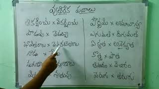 Vethirekha Padalu | Opposite Words In Telugu