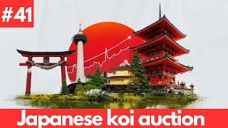 Koi kichi Japanese koi auction!!!??