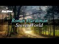 🎧  Ronan Hardiman - Secret World
