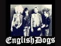 English Dogs Psycho Killer