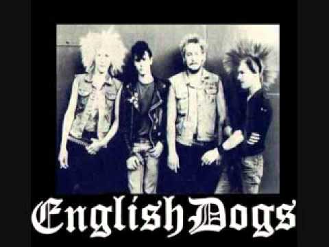 English Dogs-