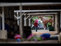 Take A Tour Around The Churchill Downs Backside