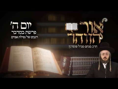 הזוהר היומי - יום ה' פרשת במדבר תשפ"ג