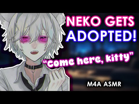 [M4A] Adoptierte Katze verwandelt sich in ein Neko! [Neko-Zuhörer] [Halsband] [Schnurren]