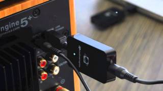 Video thumbnail for Audioengine A5+ Speaker Review by TurntableLab.com by Turntable Lab