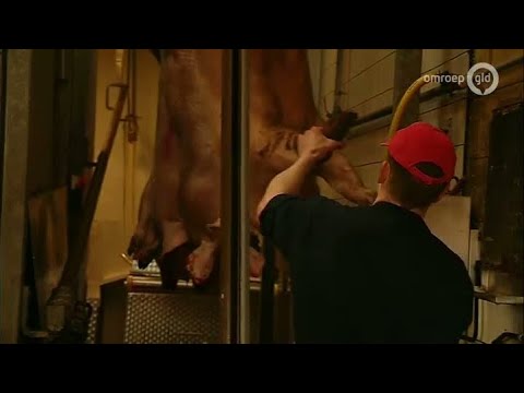 GLD Nieuws 4 april 2014