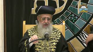 סעודת מצוה בתשעת הימים I מרן הראשון לציון הגאון רבי דוד יוסף שליט"א (מוסדות יחווה דעת) - התמונה מוצגת ישירות מתוך אתר האינטרנט יוטיוב. זכויות היוצרים בתמונה שייכות ליוצרה. קישור קרדיט למקור התוכן נמצא בתוך דף הסרטון