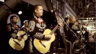 Mariachi El Bronx - Great Provider (Live at Amoeba)