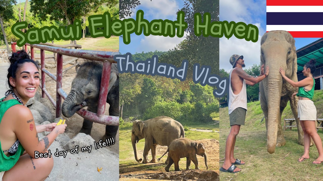 Experience an exhilarating journey with a traveler visiting the spectacular Samui Elephant Haven in this video.