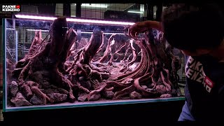 #321 Make an Aquascape model of Indonesian tropical forest