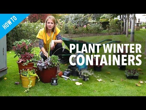 download lagu mp3 mp4 Winter Garden Plant Show, download lagu Winter Garden Plant Show gratis, unduh video klip Winter Garden Plant Show