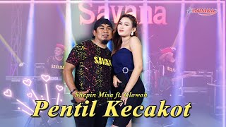 Download lagu Pentil Kecakot Shepin Misa feat Glowoh Om SAVANA B... mp3