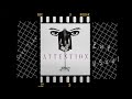 Sony Tran Attention Feat Zuy VSoul Official Video