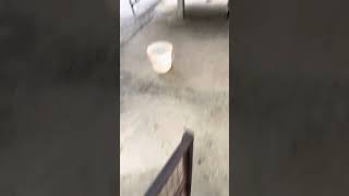 Kennel mrg work @MR.Dog PETSHOP Coimbatore